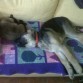 A los tres meses, con Baby y su siesta, claro